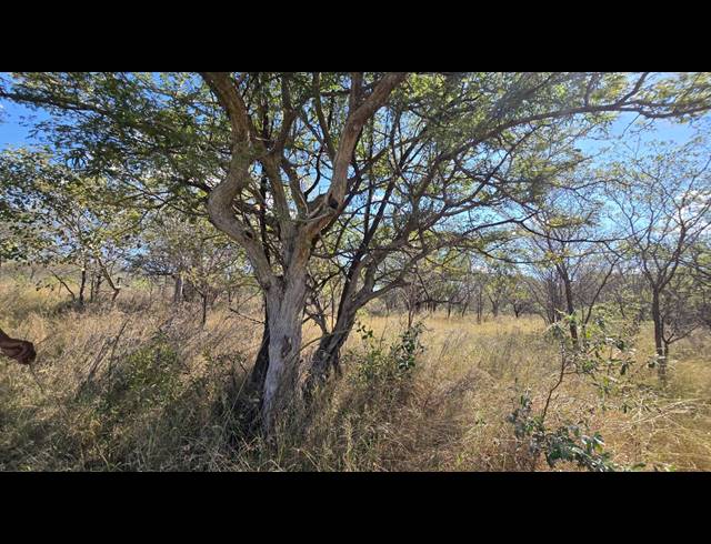 8.80HA VACANT LAND FOR SALE IN BELA BELA RURAL